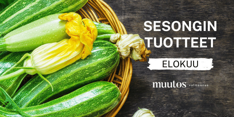 Elokuun sesongin herkut