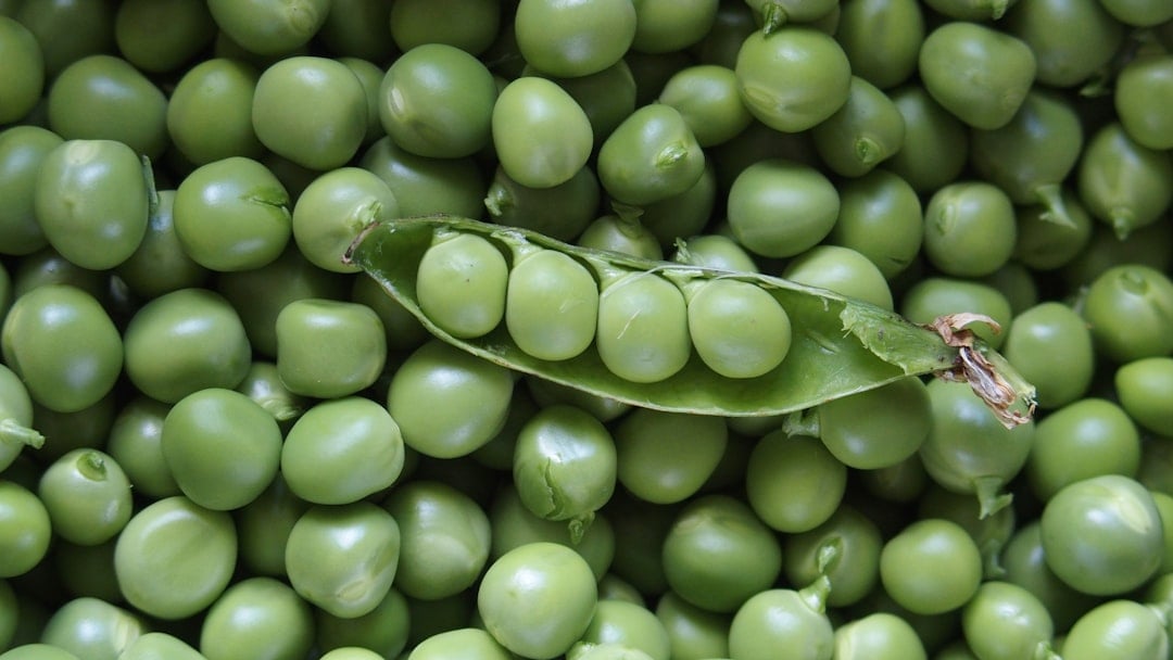 Photo by Jean-Michel GARCIA green peas in macro lens